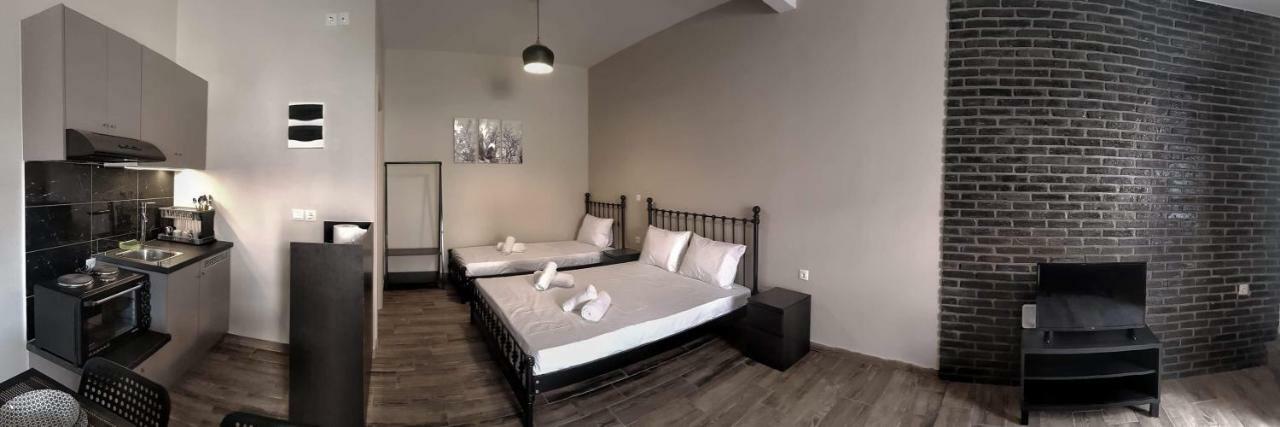 شقة Meteora House- Cozy Living كالامباكا المظهر الخارجي الصورة